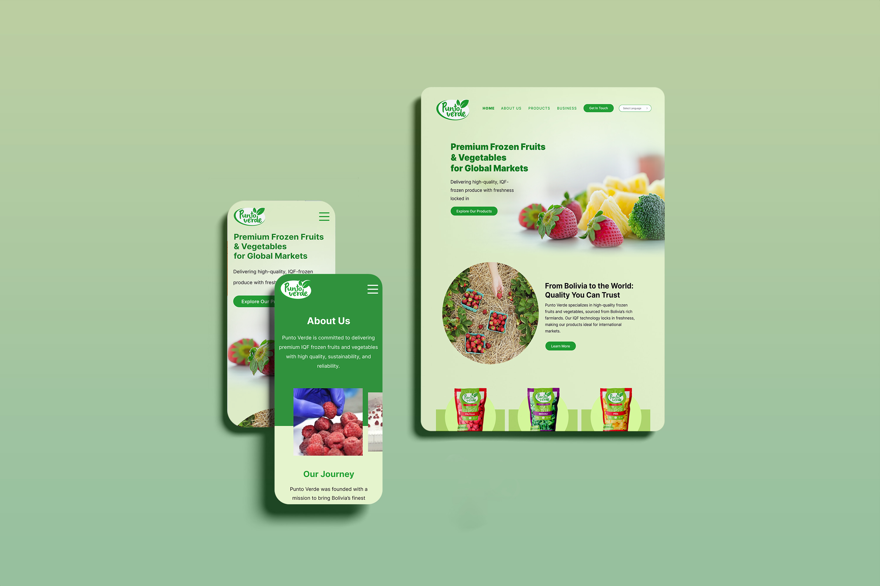 Punto Verde Website Mockup